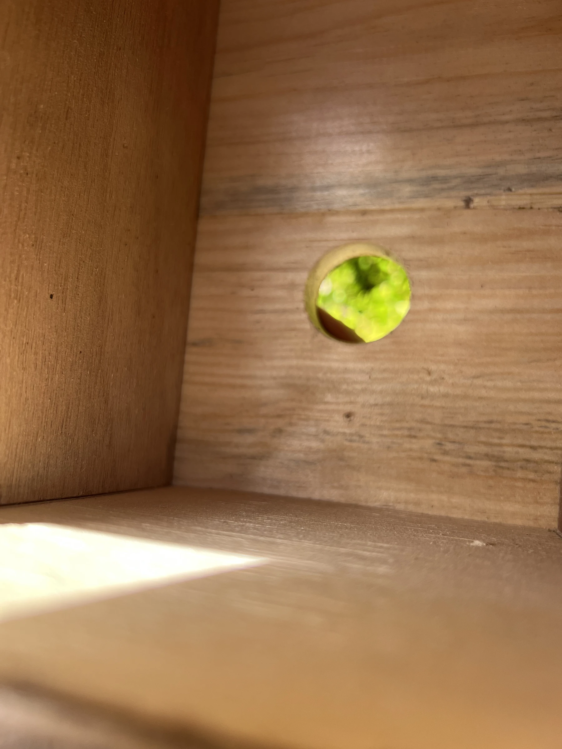 🪺 Nichoir oiseaux 3 compartiments fait main en bois avec toit bitumé – photo 14